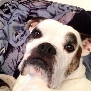 Meet your Posher, Dawne